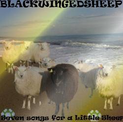 Blackwingedsheep : Seven Songs for a Little Sheep